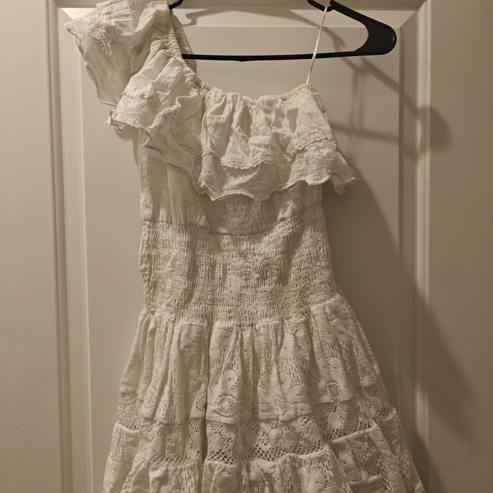 Nuuly One-Shoulder Ruffled Lace Mini Dress